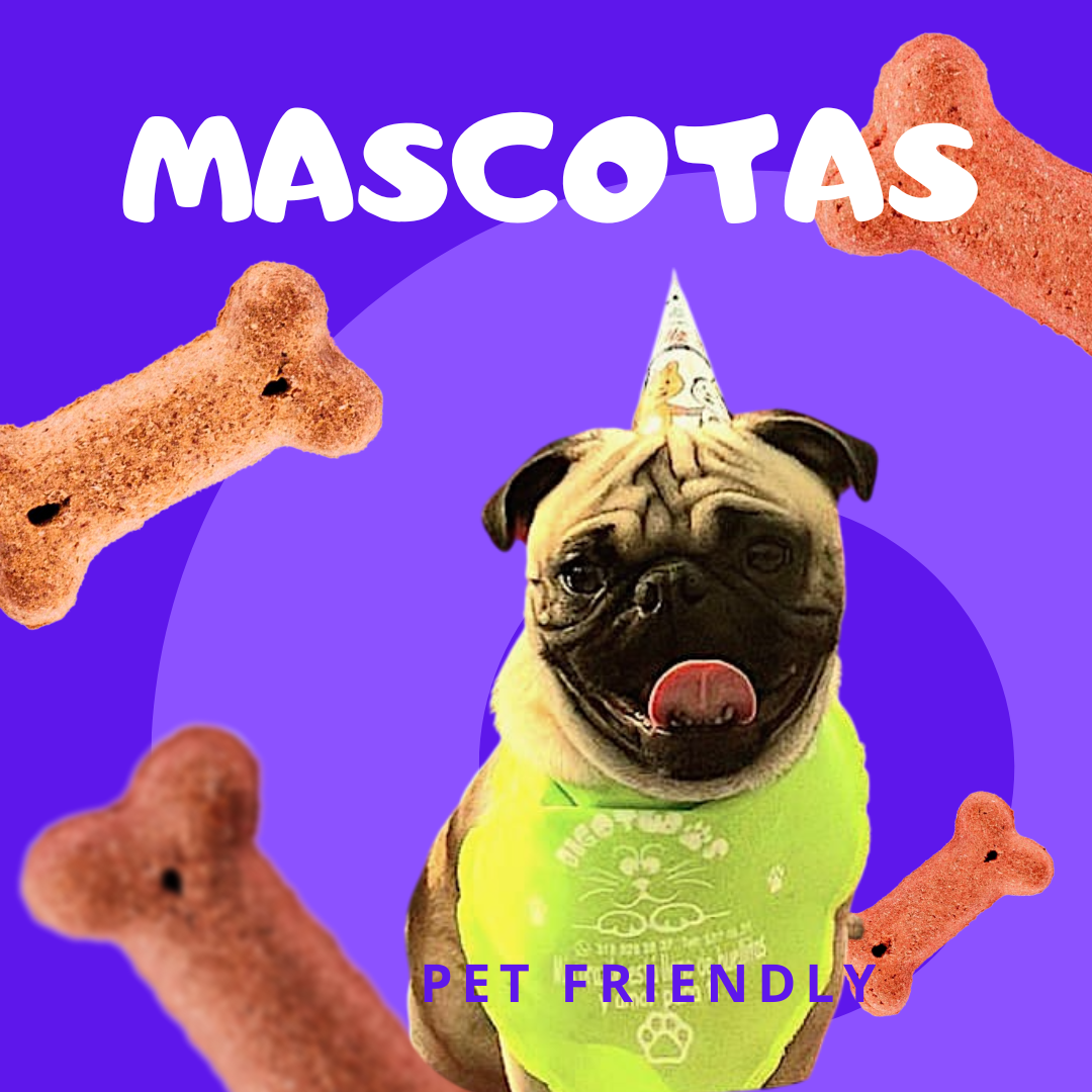 MASCOTAS